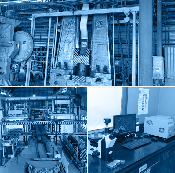 Our Forging Unit Capacity